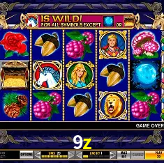 APP oficial da 9z para mobile